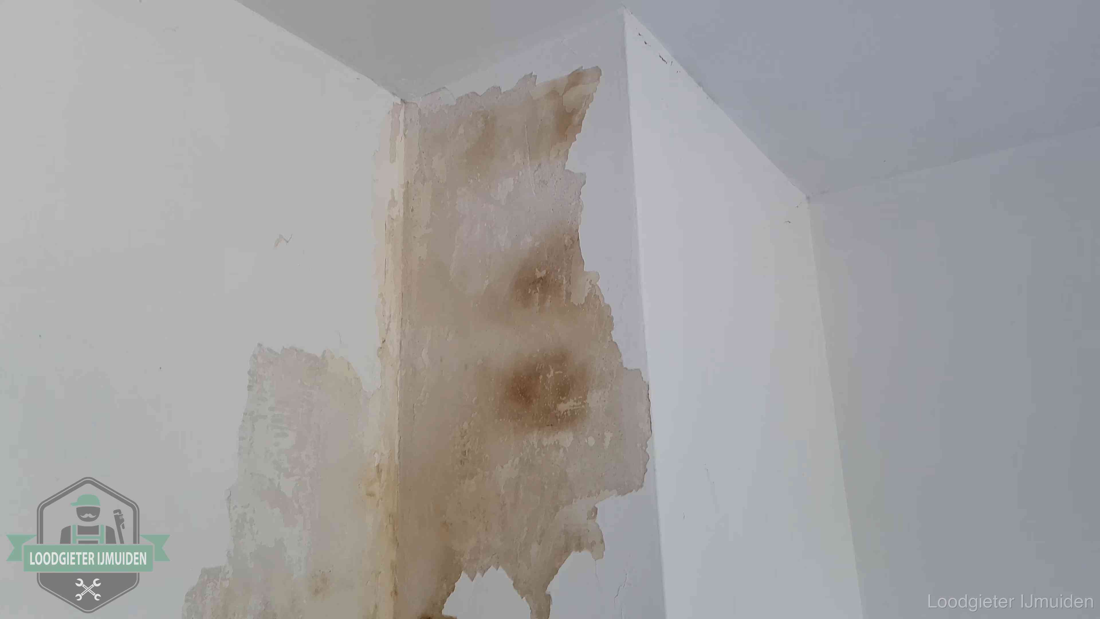 Bruine vochtkringen en afbladderend stucwerk op een binnenmuur in IJmuiden, een eerste teken van daklekkage