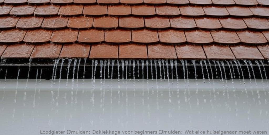 Daklekkage Voor Beginners Ijmuiden