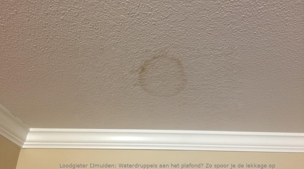 Lekkage Plafond Ijmuiden