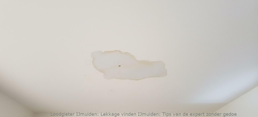 Lekkage Vinden Ijmuiden
