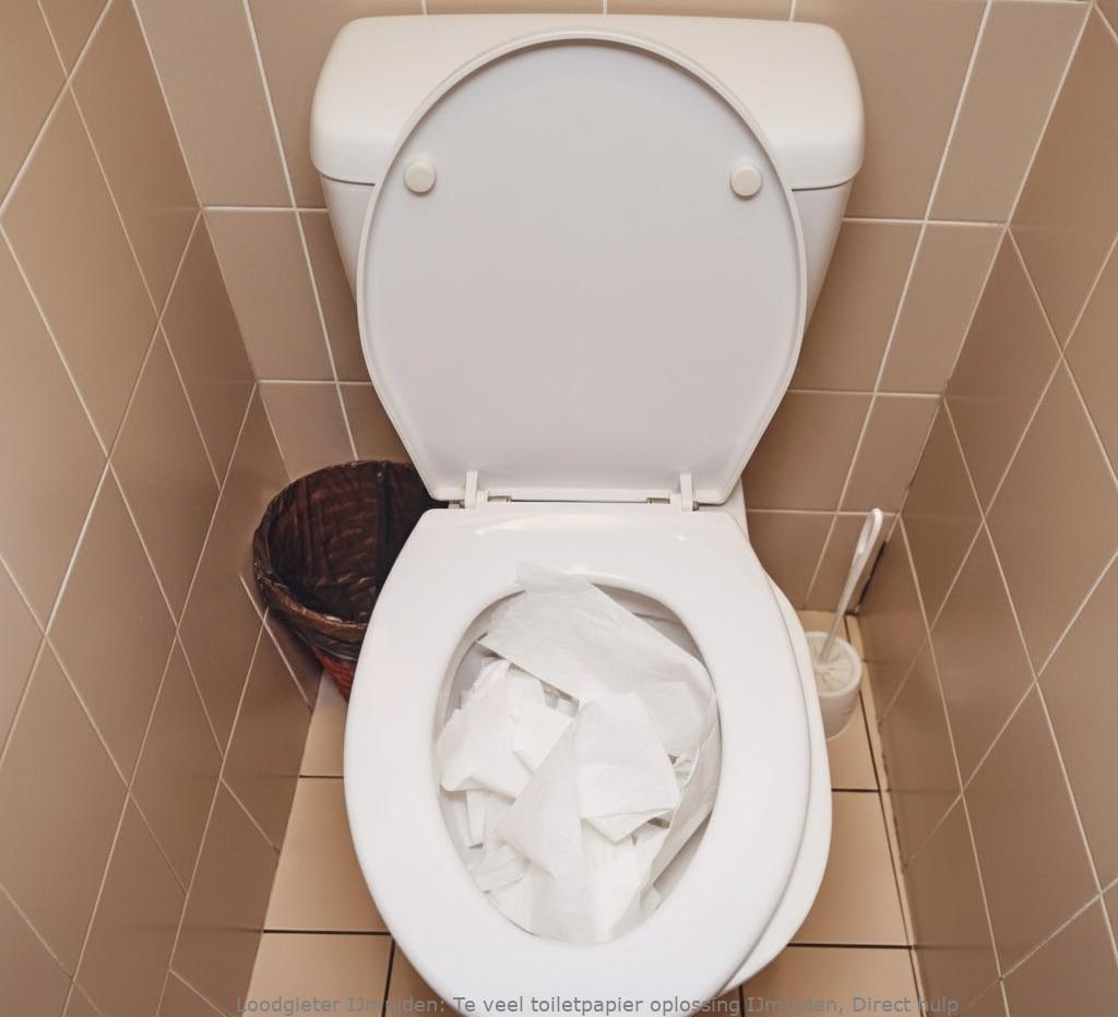 Te Veel Toiletpapier Oplossing Ijmuiden