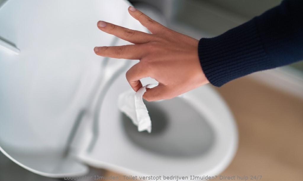 Toilet Verstopt Bedrijven Ijmuiden